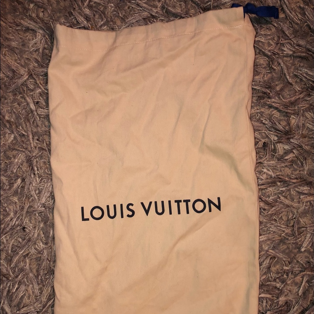 Louis Vuitton shoe dust bag set of 2